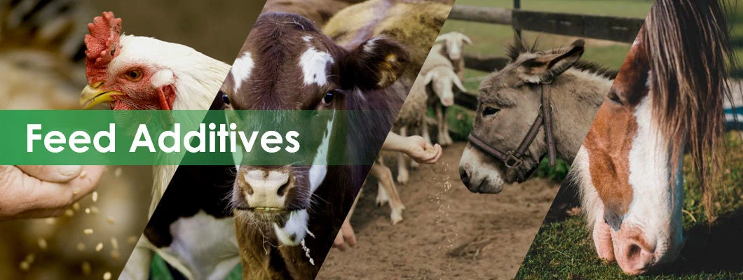 Natural Feed Additives
