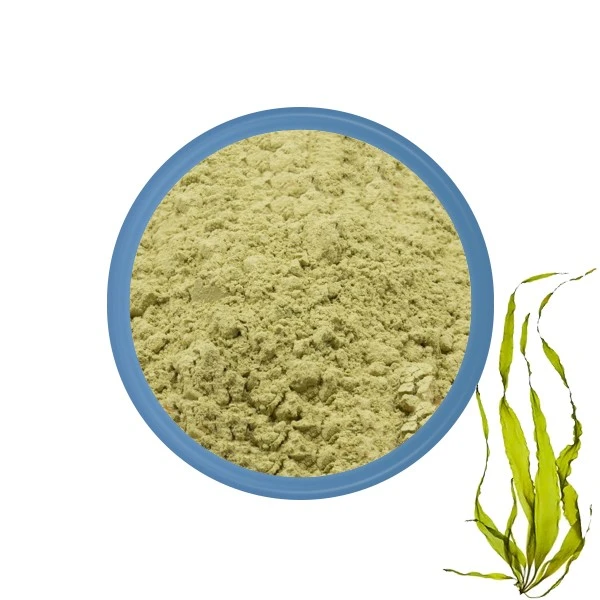Kelp kukuni ommaviy